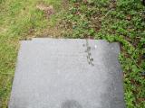 image of grave number 450711